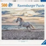 2-cheval-sur-la-plage